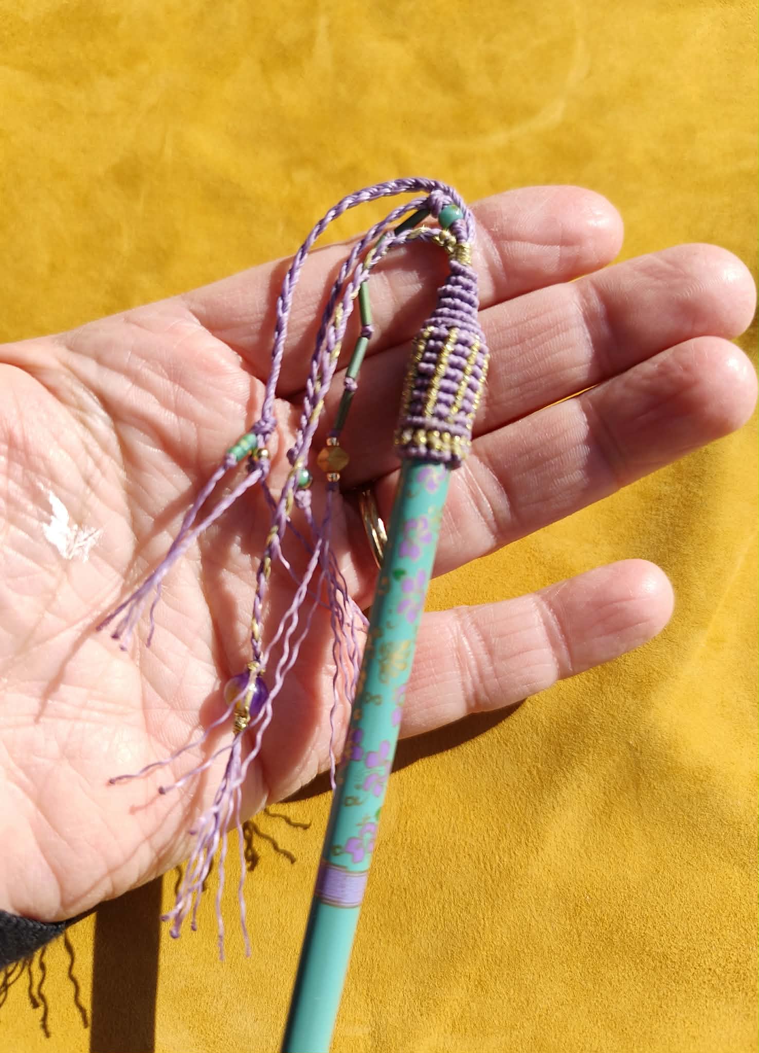 picàcheveuxgrigriv2